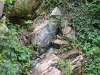 12-more-gold-seam