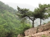 24-almost-at-the-top-of-the-gully-looking-back