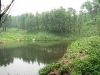 25-dam-at-top-of-gully