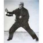 Grandmaster Hong showing stretch