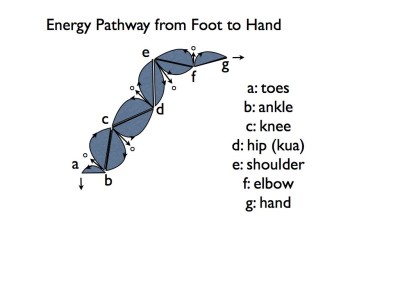Energy pathway.001
