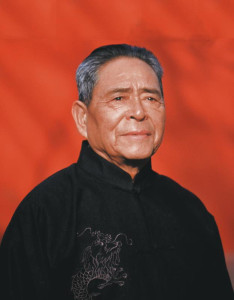 Grandmaster Feng Zhiqiang