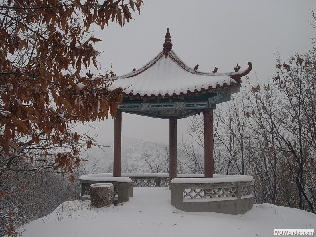 12年大青山雪景 - 10