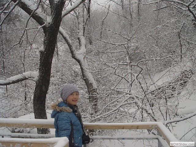 12年大青山雪景 - 13
