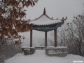 12年大青山雪景 - 10