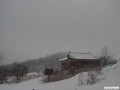 12年大青山雪景 - 11