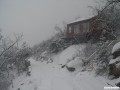 12年大青山雪景 - 12
