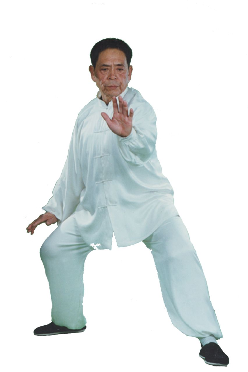 My Shifu Grandmaster Feng Zhiqiang passed away in Beijing on May 5 ...