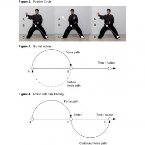 Positive Circle and Yin Yang Separation